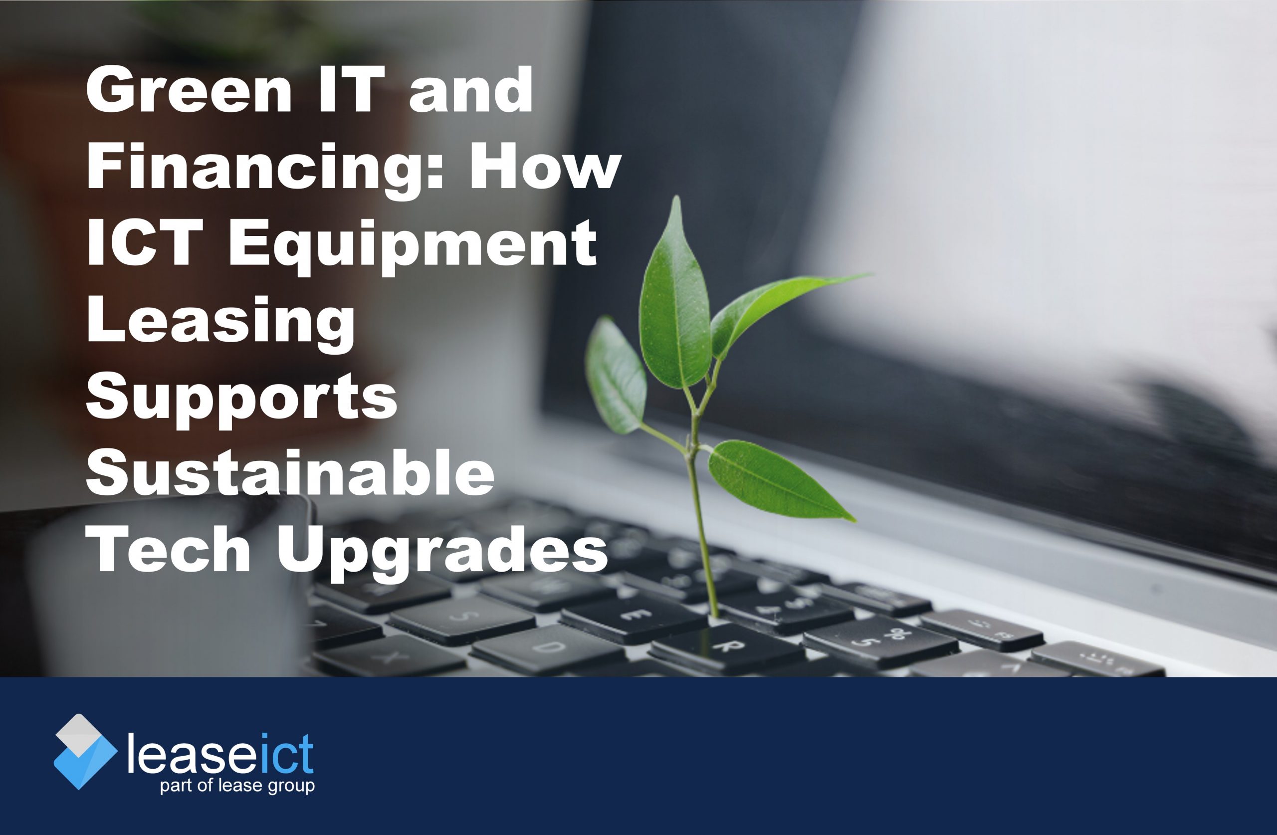 image of a computer keyboard with a small sprouted leaf coming out of it to illustrate the benefits of ICT equipment leasing for green it practices